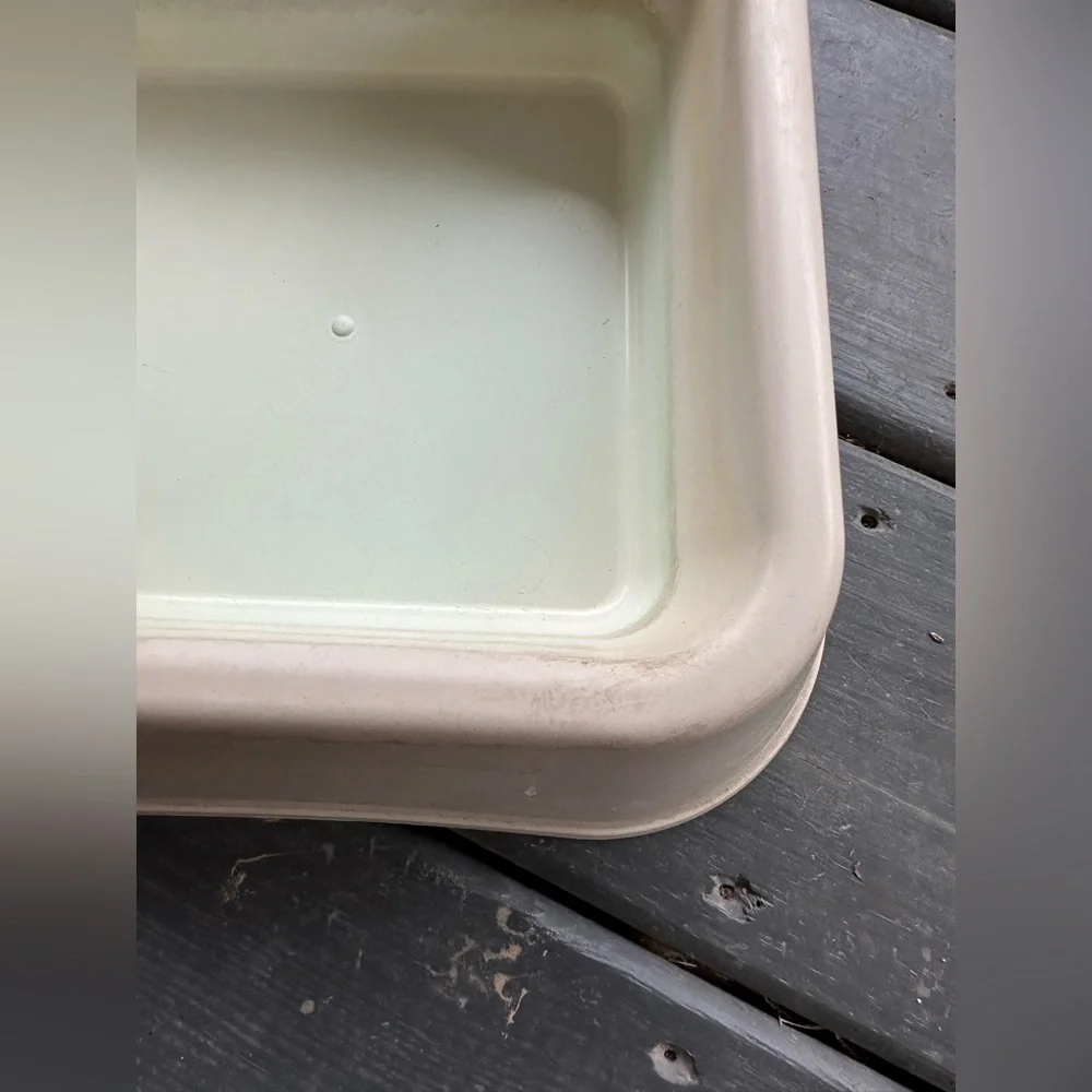 Beige dog bowl- water/food!
